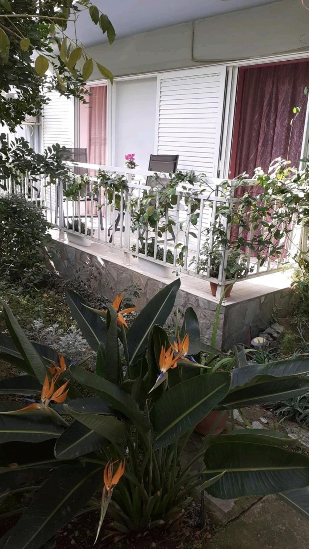 Dreamhouse Apartment Nafpaktos Exterior photo